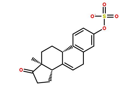 英语句子基本结构概述 雌激素 雌激素-概述，雌激素-基本结构