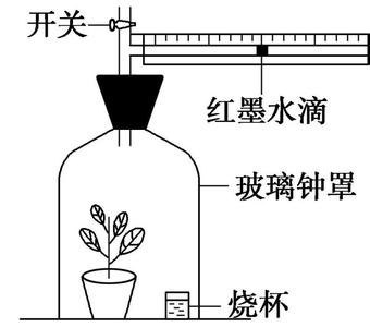 《光合作用1》 《光合作用1》-基本信息 ，《光合作用1》-学习者