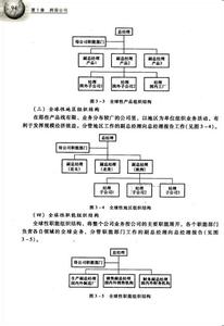 垄断优势理论 垄断优势理论 垄断优势理论-评价介绍