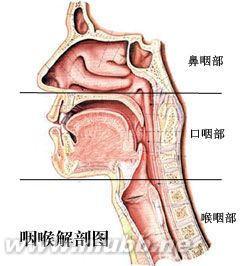 咽炎 咽炎-概述，咽炎-病因