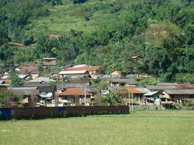 勐啊村 勐啊村-村情概况，勐啊村-自然资源