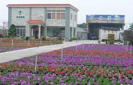 顺德陈村花卉世界 顺德陈村花卉世界 顺德陈村花卉世界-　介绍，顺德陈村花卉世界-