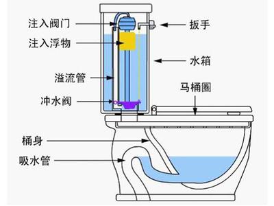 抽水马桶水箱结构图 现代抽水马桶原理 现代抽水马桶结构图