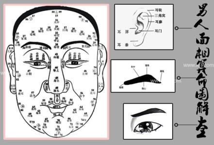 看面相算命图解男性 男人面相算命图解大全