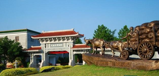 天福茶博物院 天福茶博物院-景点简介，天福茶博物院-内部景观