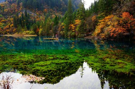 自然风景墙纸 风景墙纸图片大全,将自然带回家