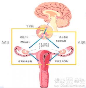 高催乳素血症 高催乳素血症-病因，高催乳素血症-辅助检查