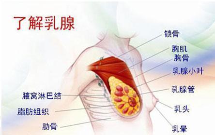 乳腺癌术后并发症 乳腺癌术后并发症-概述，乳腺癌术后并发症-并