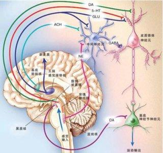 神经因子中医修复疗法 神经因子中医修复疗法-我国生物技术研究处