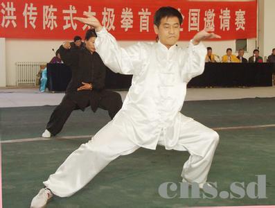 洪传陈式太极拳 洪传陈式太极拳-简介，洪传陈式太极拳-历程