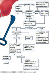 自身免疫性肝炎 自身免疫性肝炎-疾病分类，自身免疫性肝炎-发病