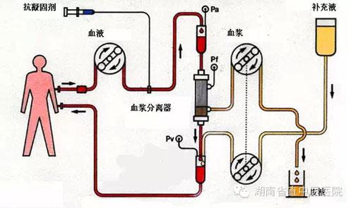 胆红素 胆红素-理化性质，胆红素-来源