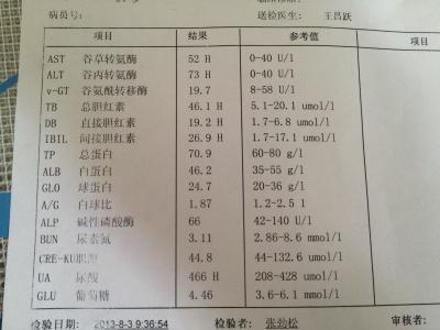 乙肝病毒携带者 乙肝病毒携带者 乙肝病毒携带者-简介，乙肝病毒携带者-分类介绍