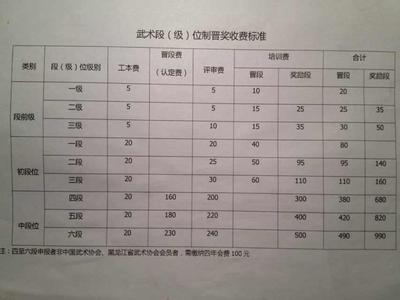 武术段位考核 中国武术段位制 中国武术段位制-简介，中国武术段位制-考核办法