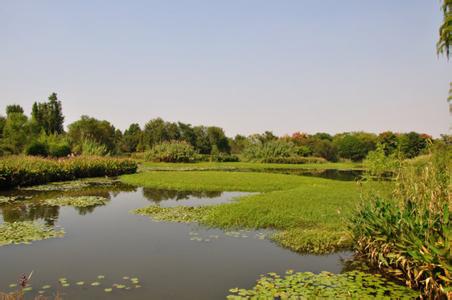 西溪国家湿地公园 西溪国家湿地公园 西溪国家湿地公园-湿地简介，西溪国家湿地公园