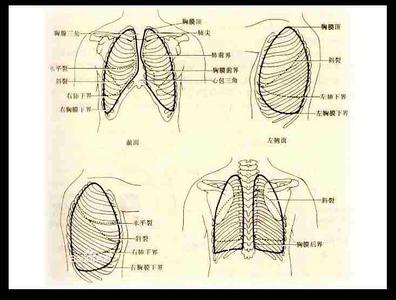 胸膜炎 胸膜炎-病因，胸膜炎-分类