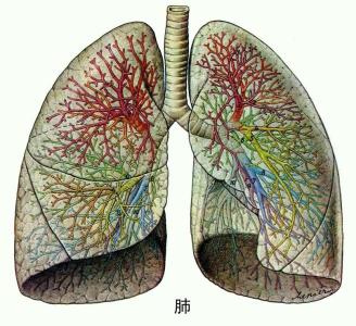 煤尘肺 煤尘肺-概述，煤尘肺-体征