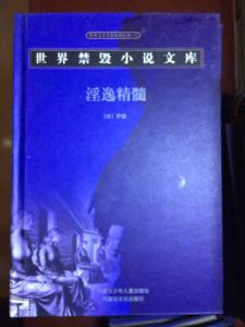 中国历代禁毁小说 禁毁小说 禁毁小说-概述，禁毁小说-情形