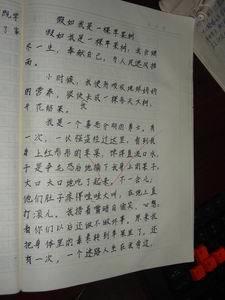 我是一棵树作文800字 我是一棵树作文