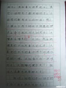 团结就是力量作文800字 团结就是力量作文