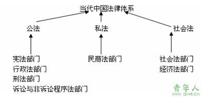 程序法 程序法-概念简述，程序法-程序法的分类