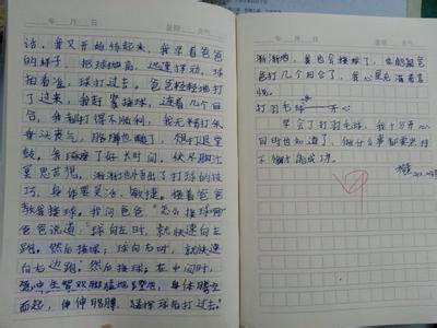 打羽毛球的作文100字 打羽毛球的作文