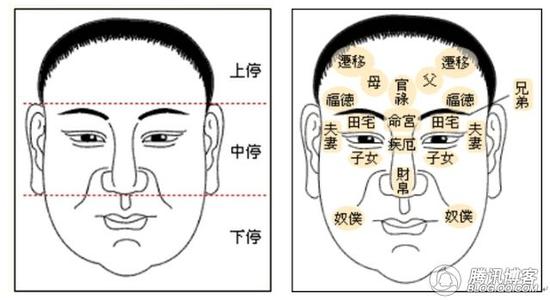 面相 面相-发展起源，面相-基础理论