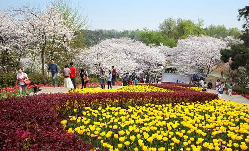 湖南省森林植物园 湖南省森林植物园 湖南省森林植物园-简介，湖南省森林植物园-景