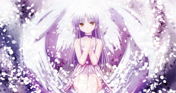 《AngelBeats》 《AngelBeats》-基本信息，《AngelBeats》-基本