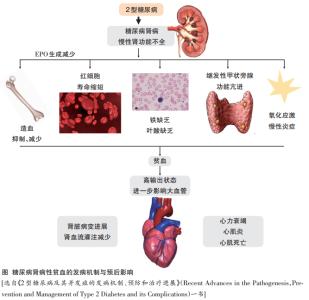 贫血 贫血-概述，贫血-病因病机