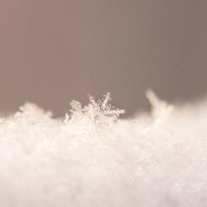 撒盐空中差可拟 白雪纷纷何所似？撒盐空中差可拟。未若柳絮因风起。