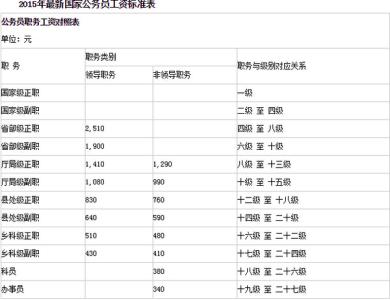 乡镇公务员级别 乡镇公务员 乡镇公务员-名词解释，乡镇公务员-级别