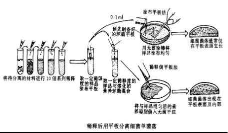 稀释热 稀释热-稀释热，稀释热-正文