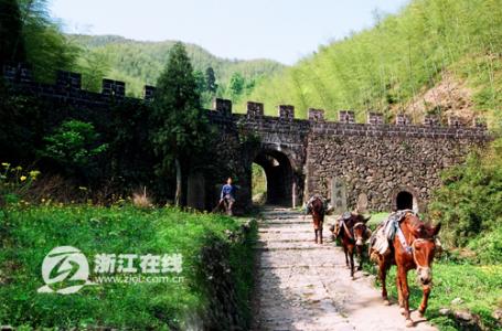 仙霞关 仙霞关-基本介绍，仙霞关-景区简介