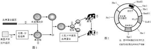 基因工程原理与技术 基因工程原理与技术-图书信息，基因工程原理