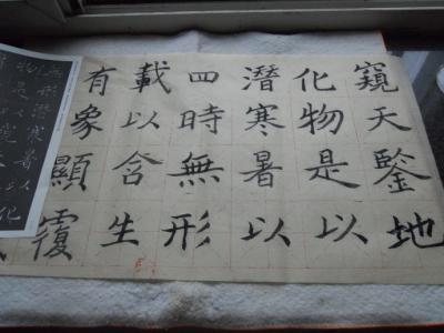 听雨作文600字 听雨900字