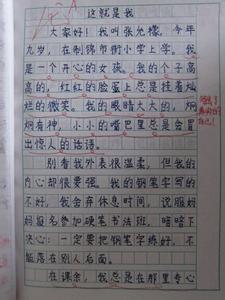 这就是我作文300字 这就是我作文