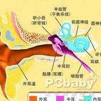 淋巴管炎 淋巴管炎-概述，淋巴管炎-病因