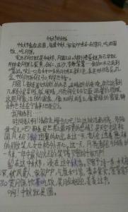 端午节日记200字 中秋节日记200字