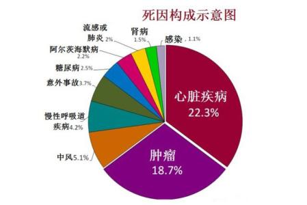 心血管疾病 心血管疾病-概述，心血管疾病-分类体征