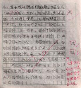 我的课余生活作文300字 我的课余生活三年级作文