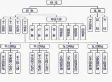 脉络宁口服液文献 络脉 络脉-别络，络脉-文献论述