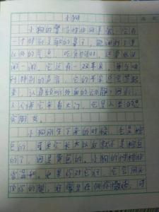 小狗的作文100字 写狗的作文