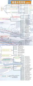 病毒学分类手册 病毒分类学 病毒分类学-内容介绍