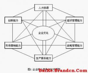 核心竞争力钻石模型 核心竞争力钻石模型-构成因素，核心竞争力钻