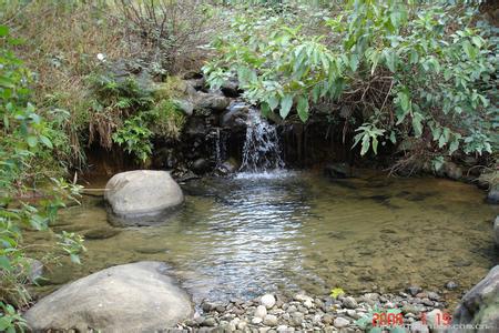 岳阳楼记 小石潭记