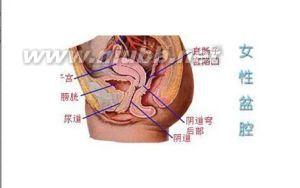 盆腔炎症 盆腔炎症-病因，盆腔炎症-御阴宝专家概述