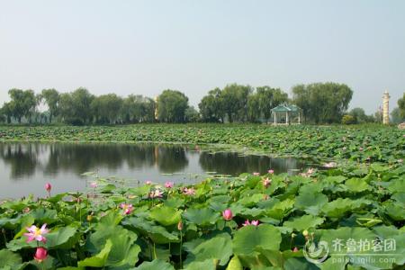 寿光林海生态博览园 寿光林海生态博览园-简介，寿光林海生态博览