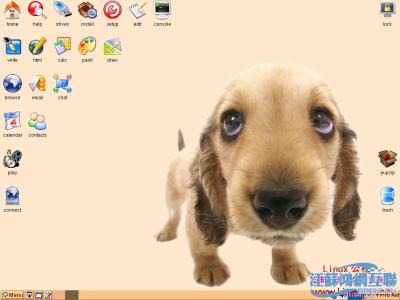 puppylinux安装 PuppyLinux