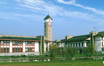 成都东软学院 成都东软学院-概况，成都东软学院-历史沿革